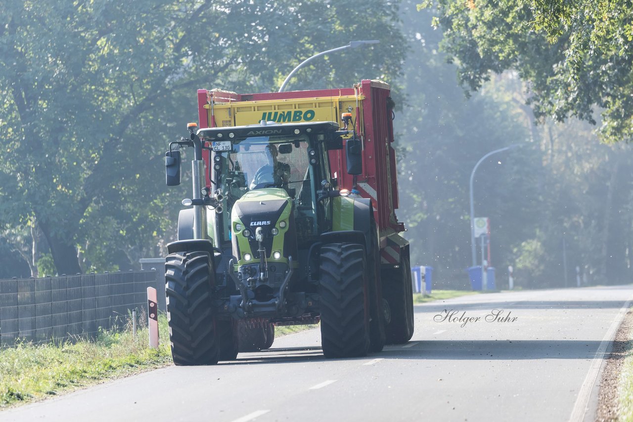 Bild 164 - Maisernte